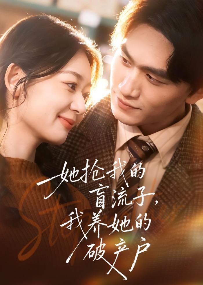 她抢我的盲流子，我养她的破产户海报