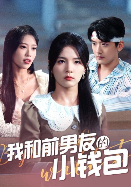 我和前男友的小钱包海报