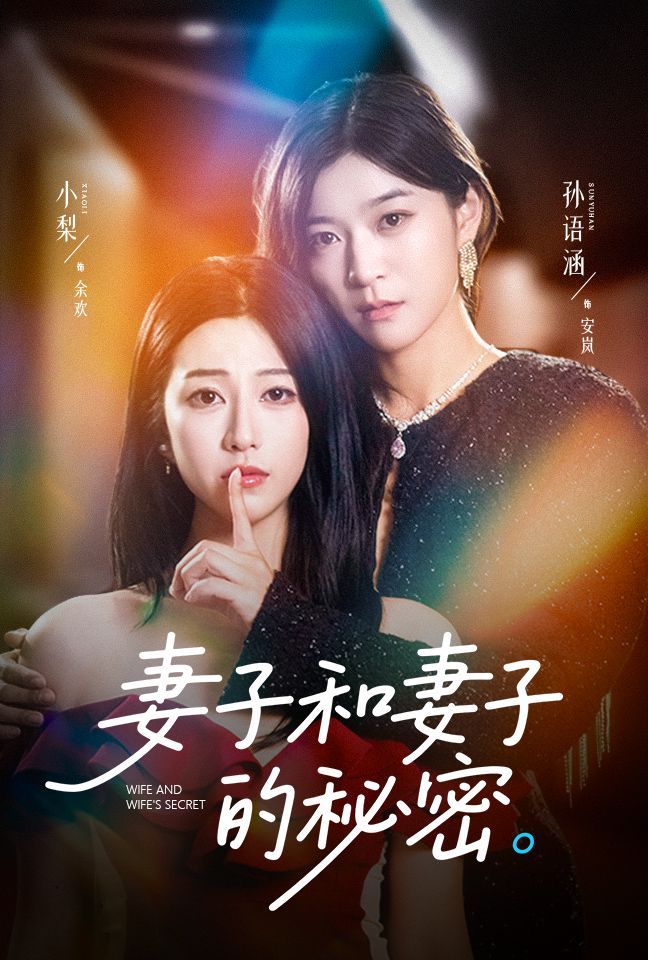 妻子和妻子的秘密海报
