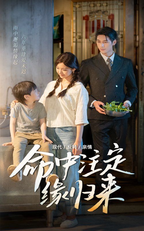命中注定缘归来海报
