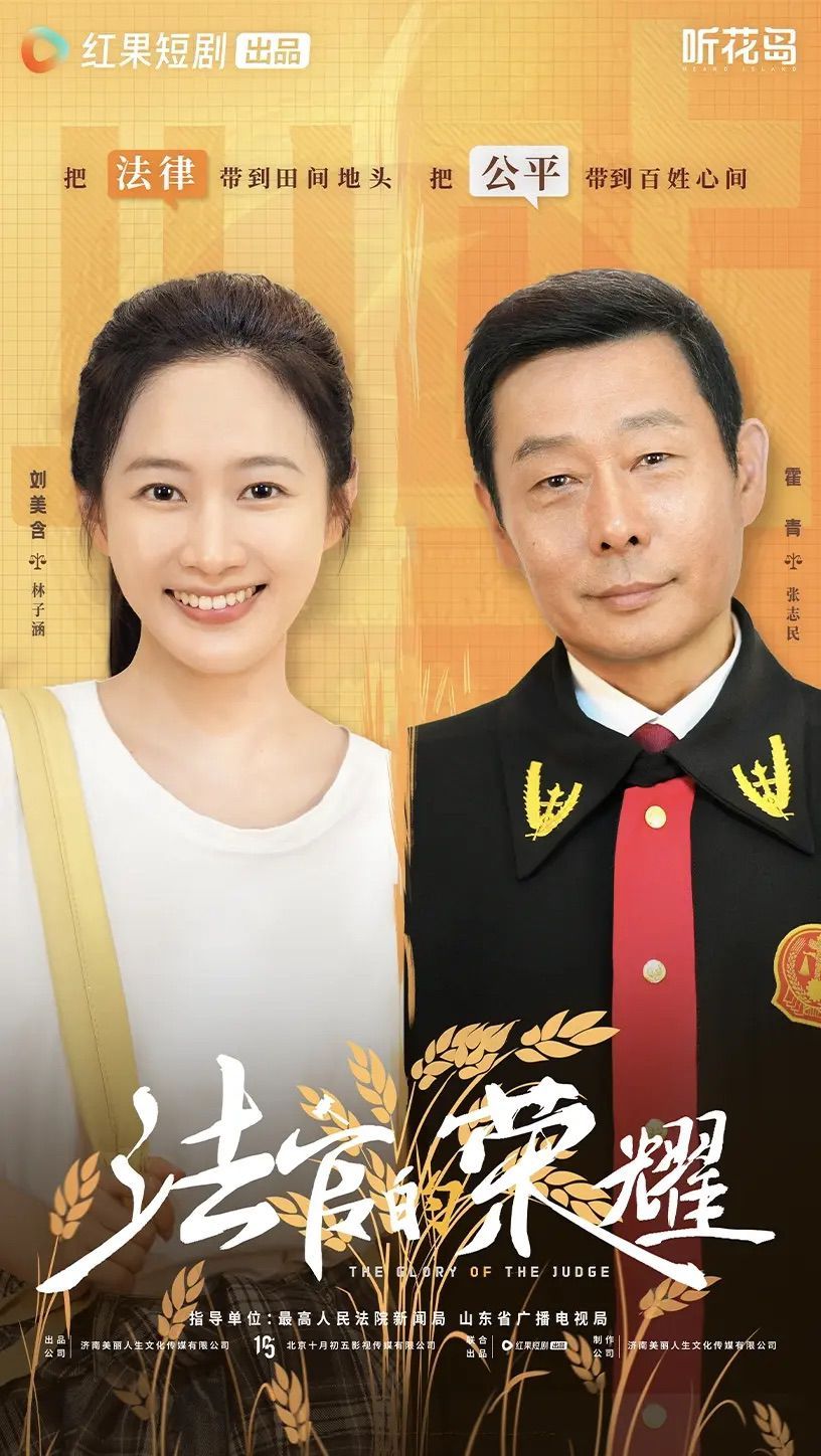 法官的荣耀海报