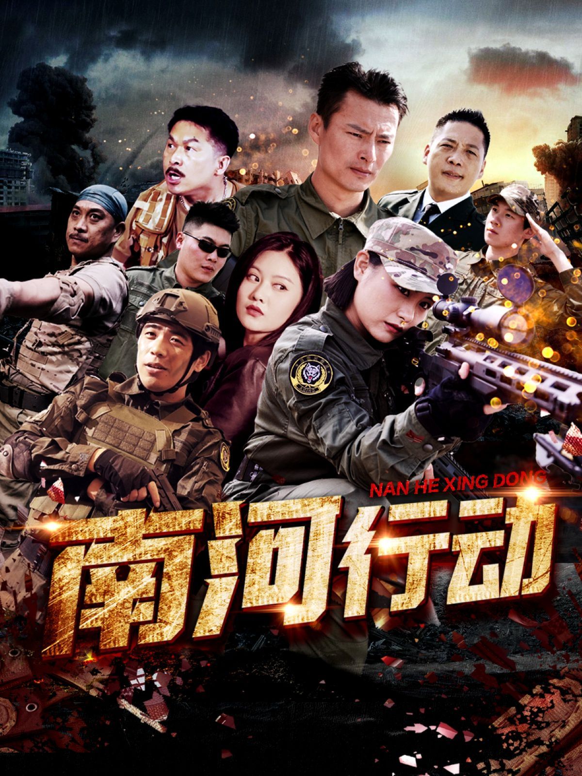 南河行动海报