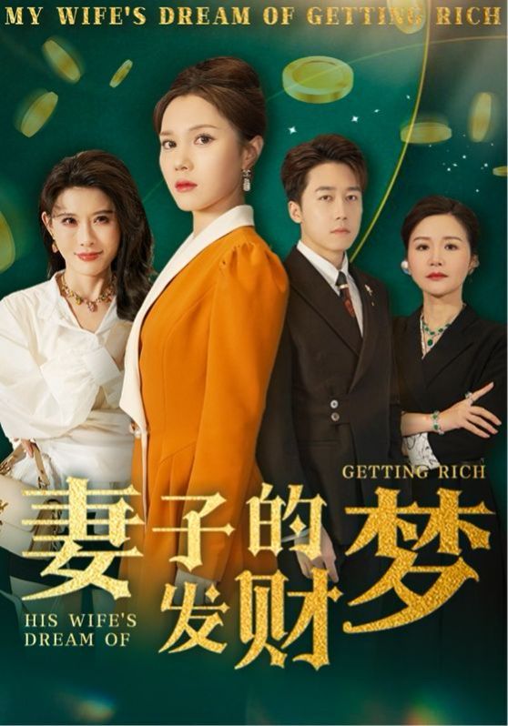 妻子的发财梦海报