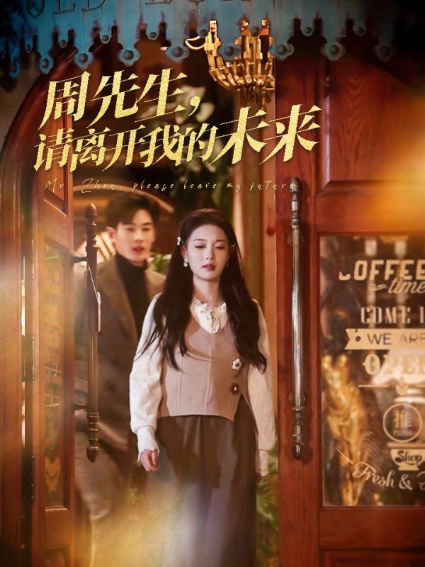 周先生，请离开我的未来海报