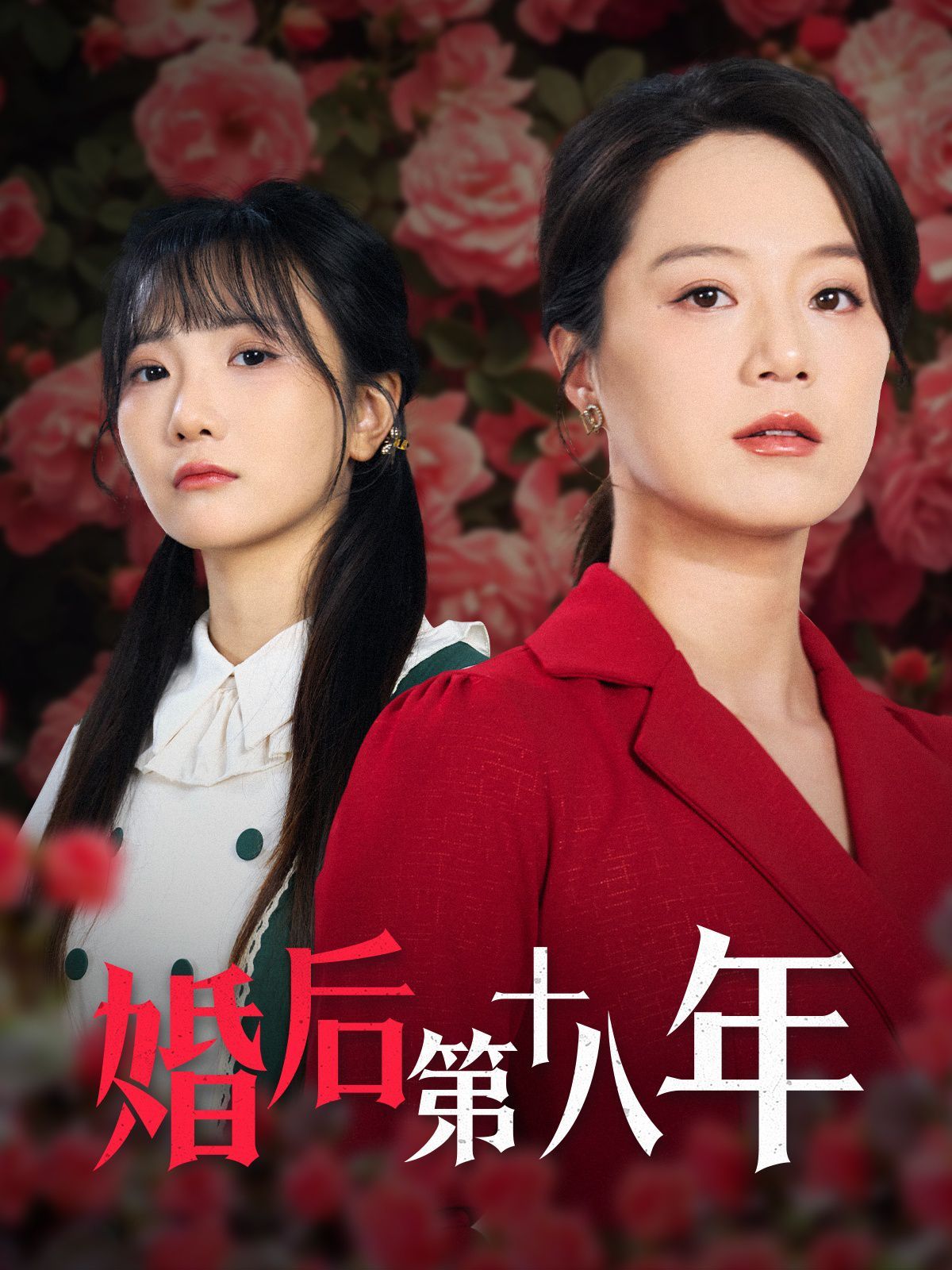 婚后第十八年海报