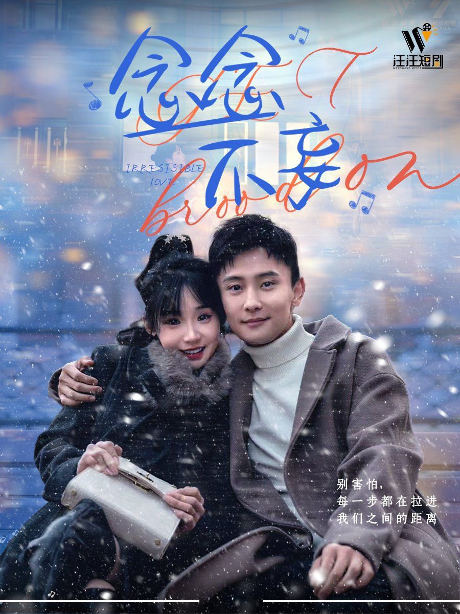 念念不妄海报