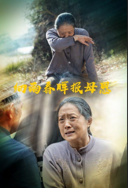 细雨春晖报母恩海报