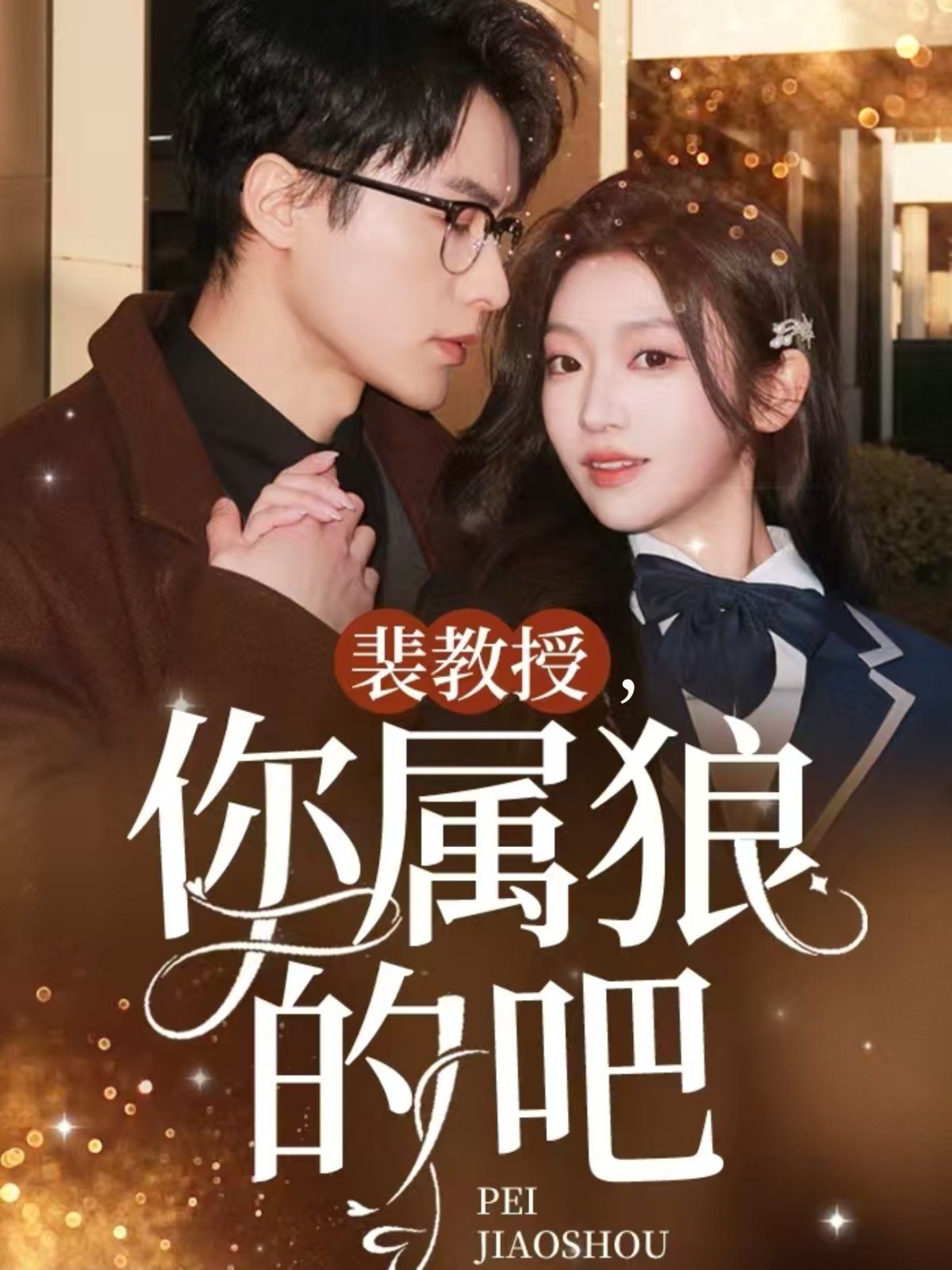 裴教授你属狼的吧海报