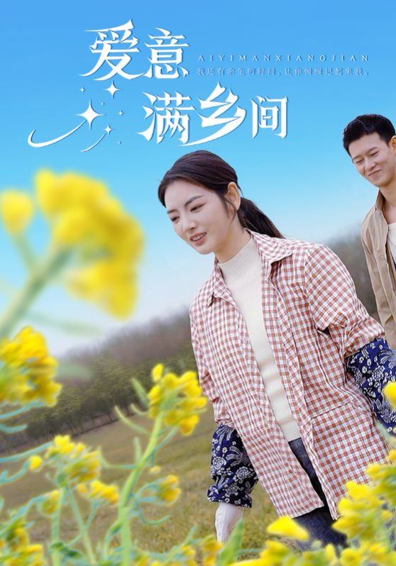 爱意满乡间海报
