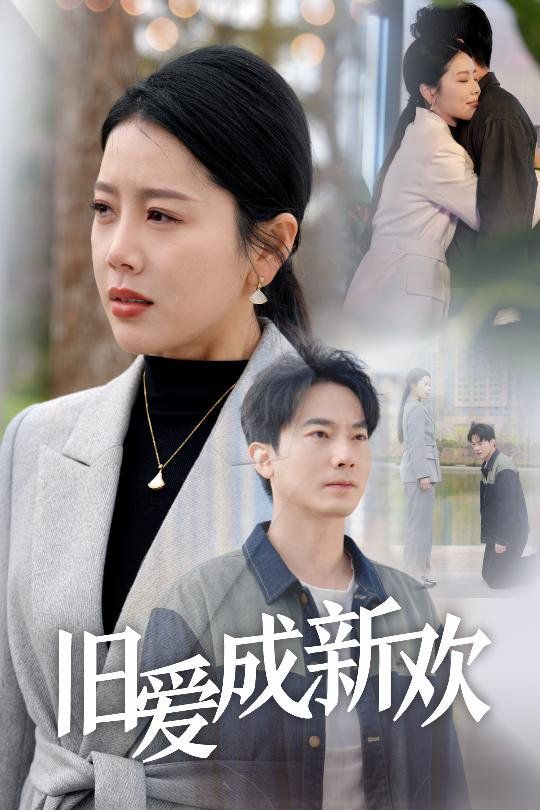 旧爱成新欢海报