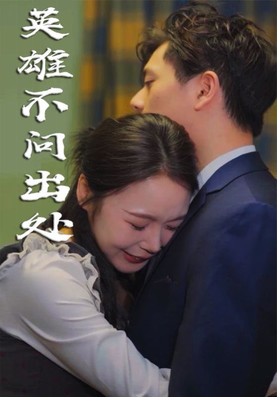 英雄不问出处海报