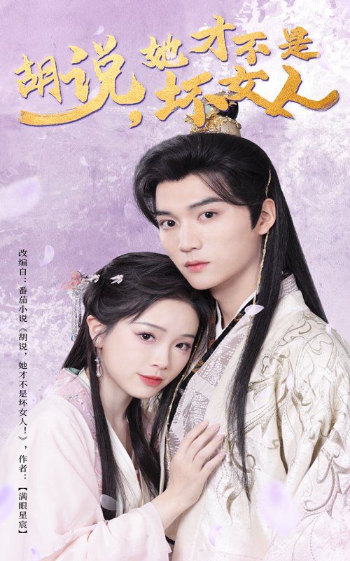胡说她才不是坏女人海报