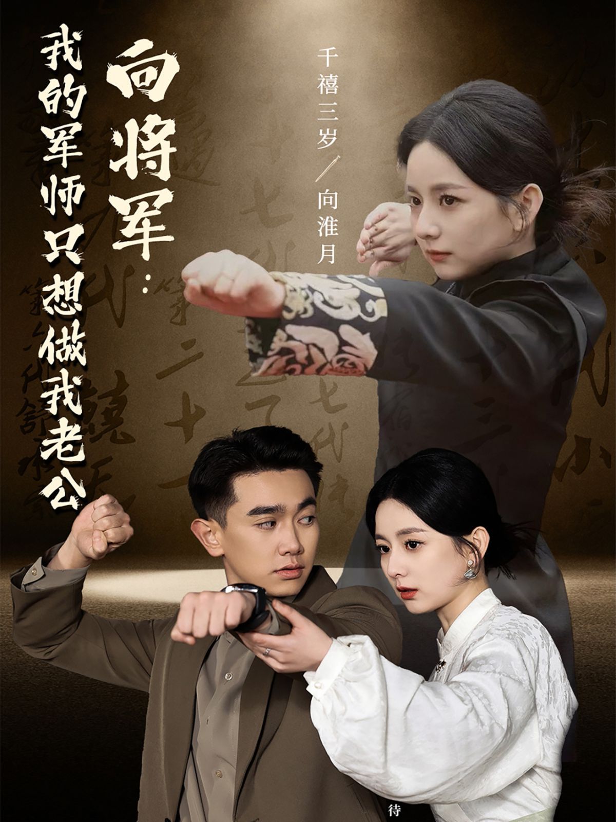 向将军我的军师只想做我老公海报