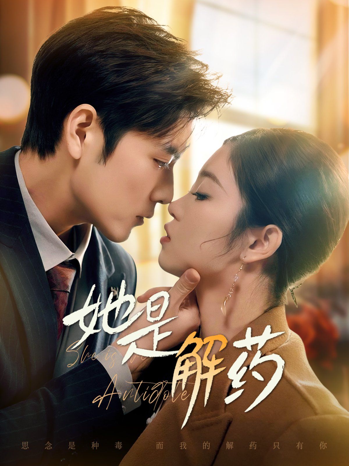 她是解药海报