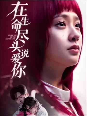 在生命尽头说爱你海报