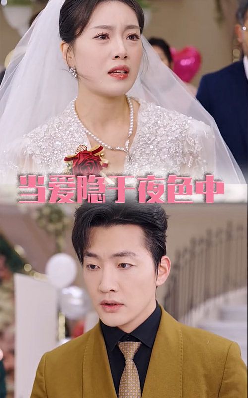 当爱隐于夜色中海报
