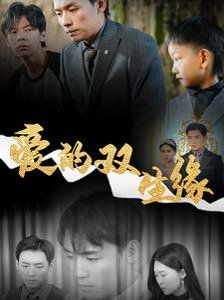 爱的双生缘海报