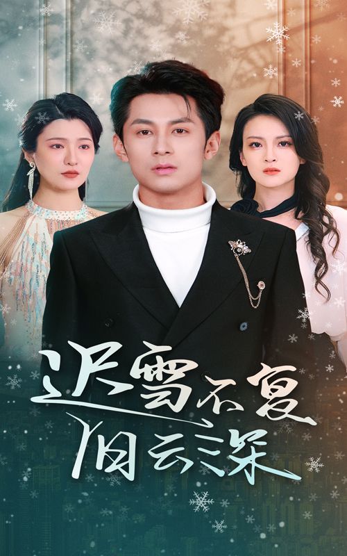 迟雪不复旧云深（当年明月，负尽深雪）海报