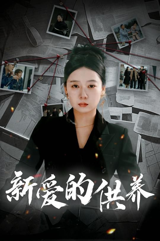 新爱的供养（以爱入局）（天上的星星不说话）海报