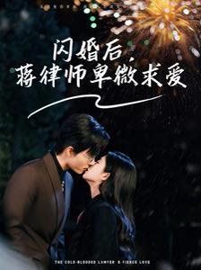 闪婚后蒋律师卑微求爱（闪婚后高冷律师疯狂宠）海报