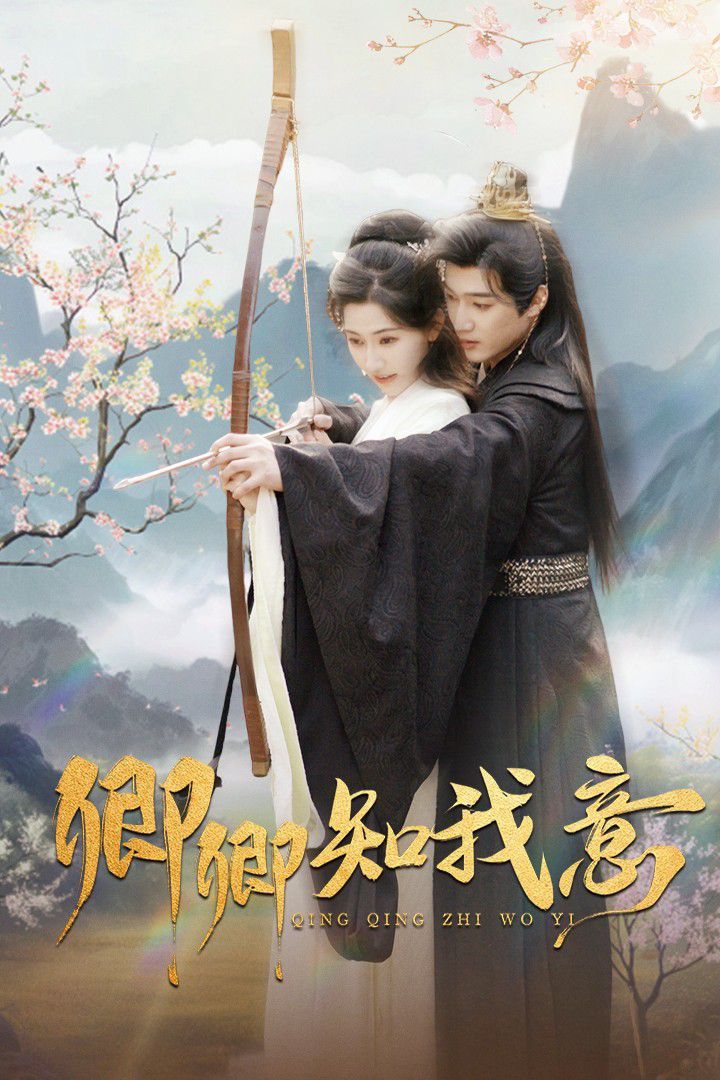 卿卿知我意海报