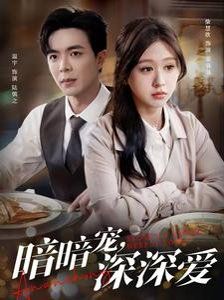 暗暗宠深深爱海报
