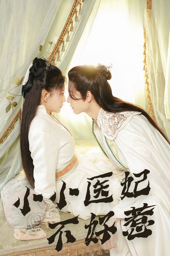 小小医妃不好惹海报