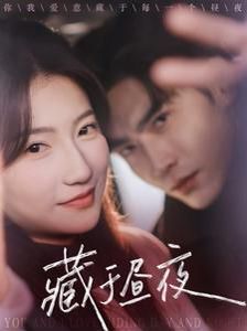 藏于昼夜2025海报