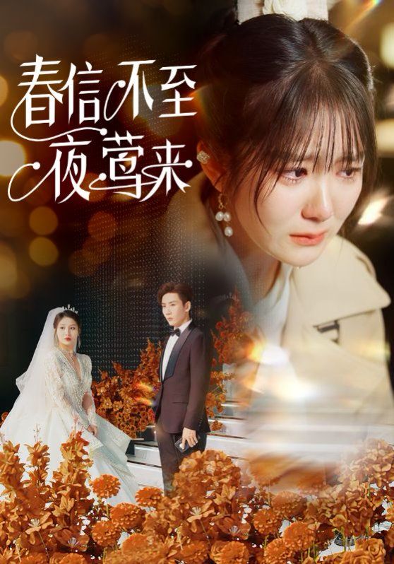 春信不至夜莺来海报