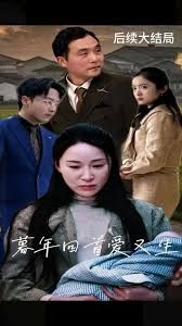 暮年回首爱又生海报