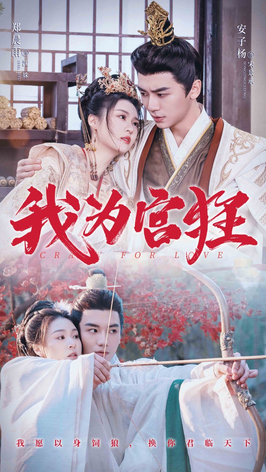 我为宫狂海报