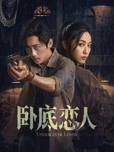 卧底恋人海报