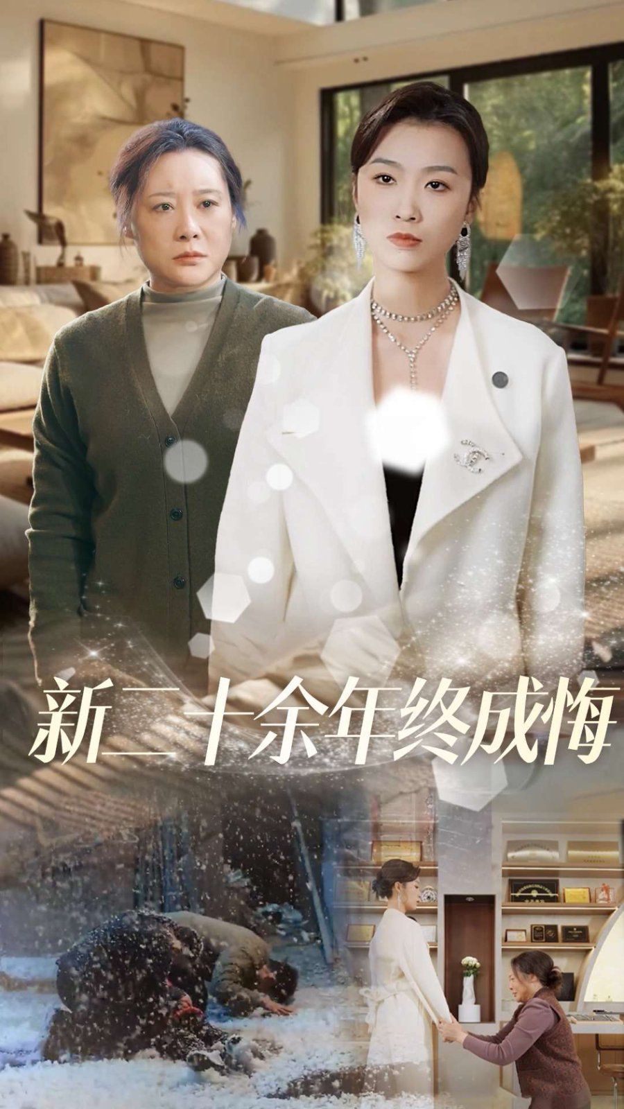 新二十余年终成悔海报