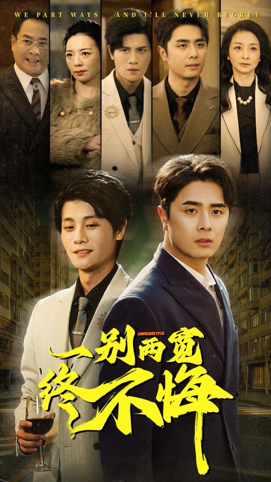 一别两宽终不悔海报