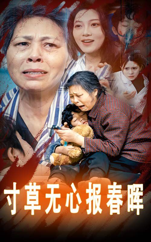 寸草无心报春晖-孝子慈孙海报