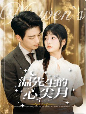 温先生的心尖月海报