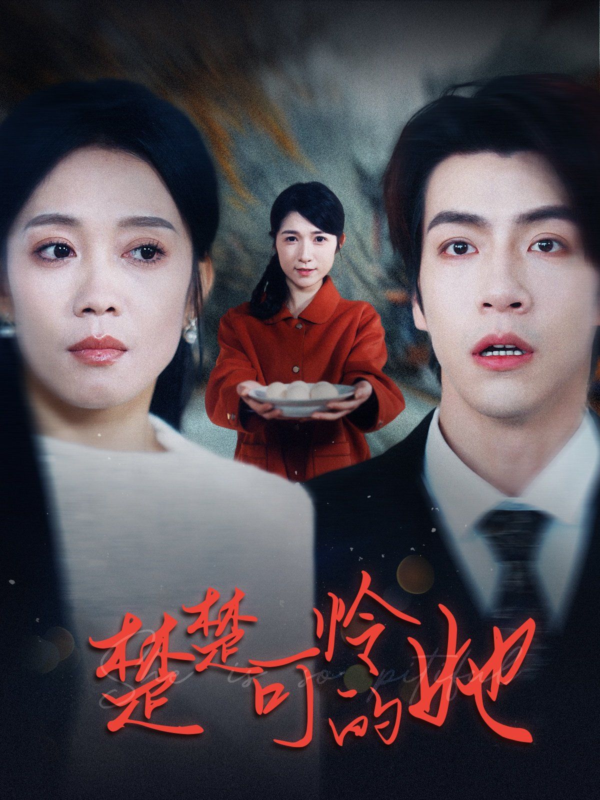 楚楚可怜的她海报