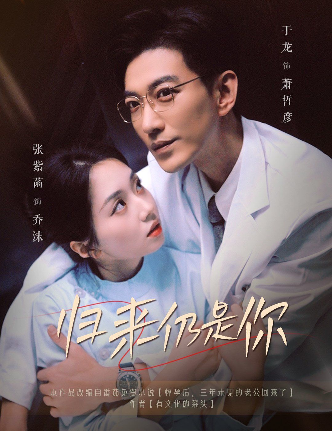 归来仍是你海报