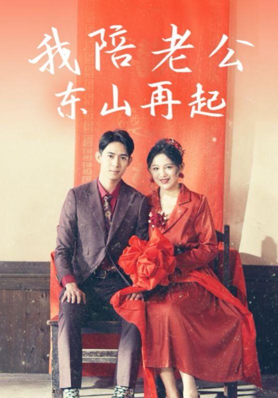 我陪老公东山再起海报