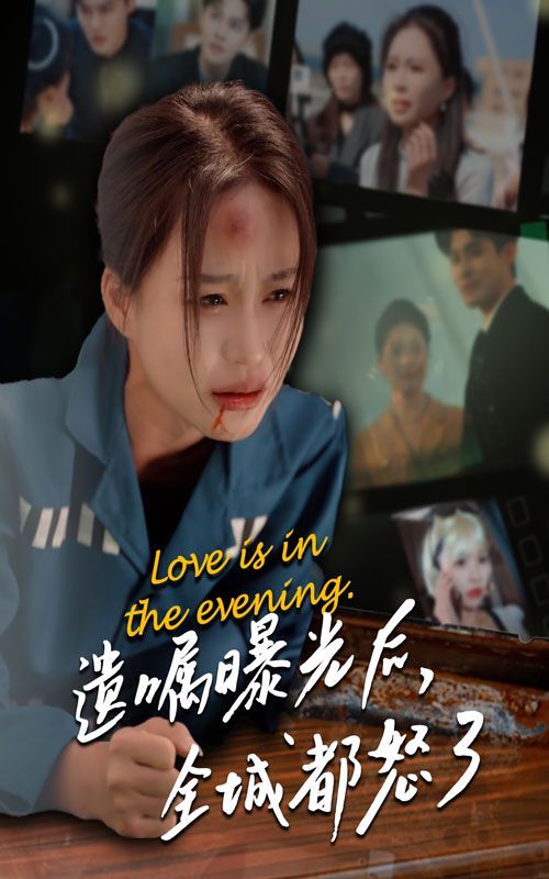 遗嘱曝光后全城都怒了海报