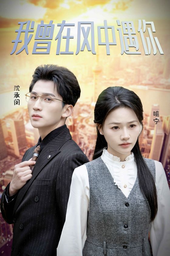 我曾在风中遇你海报