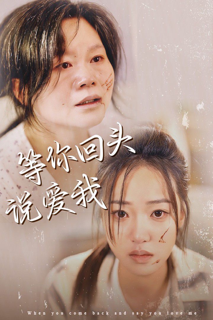 等你回头说爱我海报
