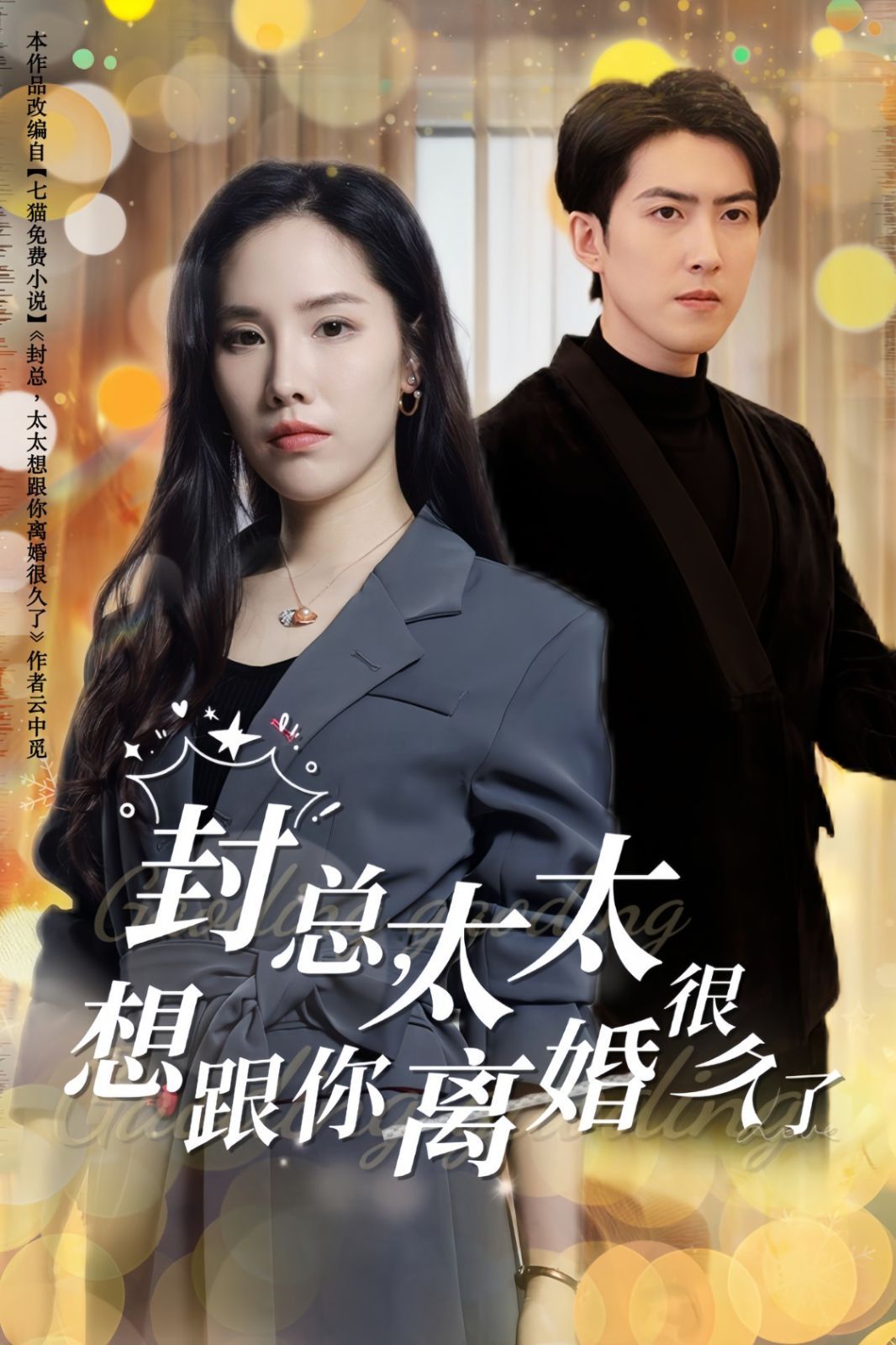 封总太太想跟你离婚很久了海报