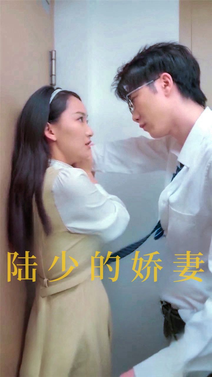 陆少的娇妻海报