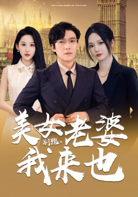 别跑，美女老婆我来也海报
