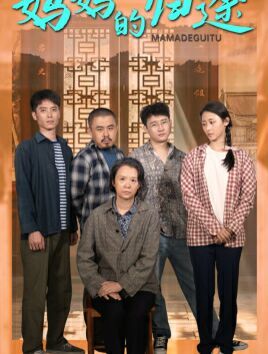 妈妈的归途（归来之金凤成龙）海报