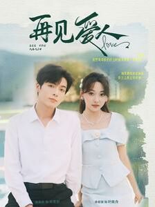 新再见爱人海报