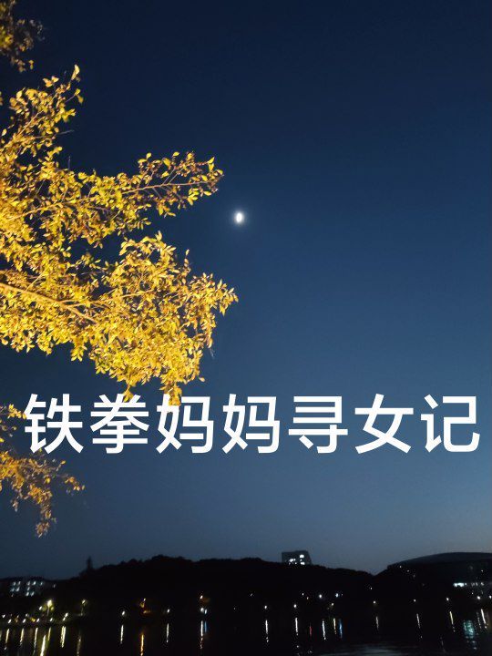 铁拳妈妈寻女记海报