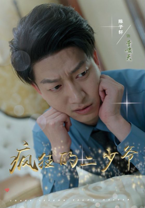 疯狂的二少爷海报