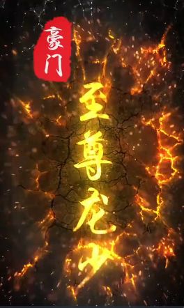 豪门至尊龙少海报